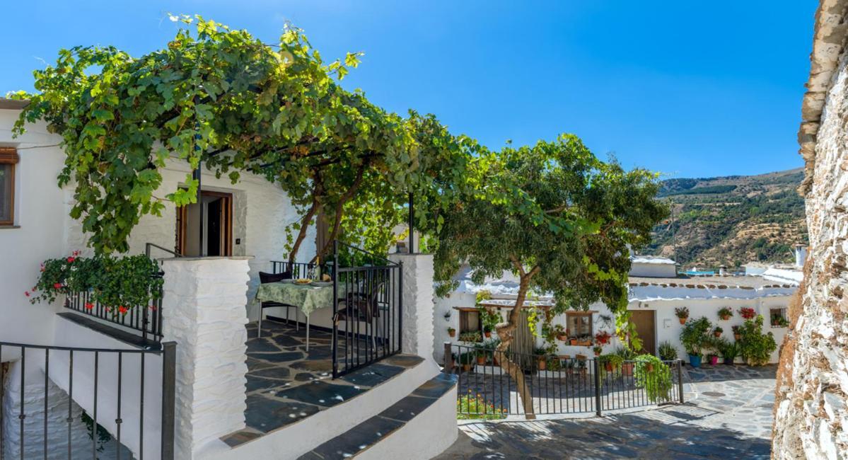 Casa Antonia Capileira La Alpujarra Lägenhet Exteriör bild