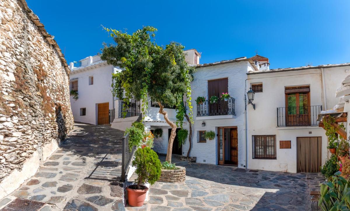 Casa Antonia Capileira La Alpujarra Lägenhet Exteriör bild