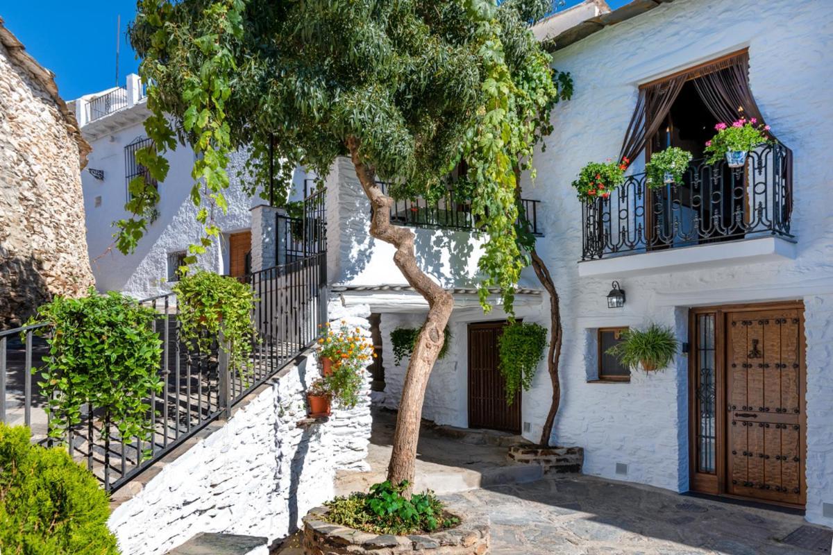 Casa Antonia Capileira La Alpujarra Lägenhet Exteriör bild